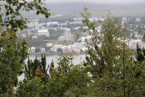 Kynningarfundur kjaratölfræðinefndar í dag