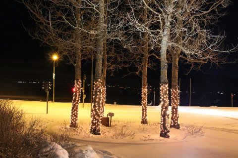 Skil á gögnum í desember