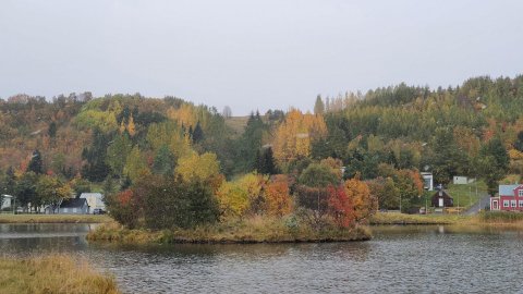 Ný skýrsla frá Kjaratölfræðinefnd kynnt á fimmtudag