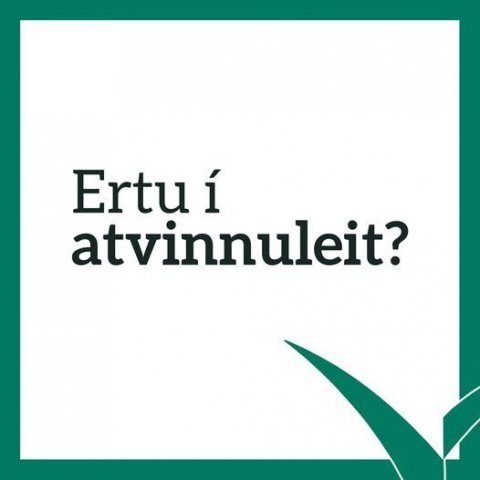 Ert þú í atvinnuleit?