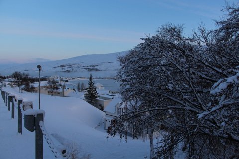 Skil á umsóknum og gögnum í febrúar 2023