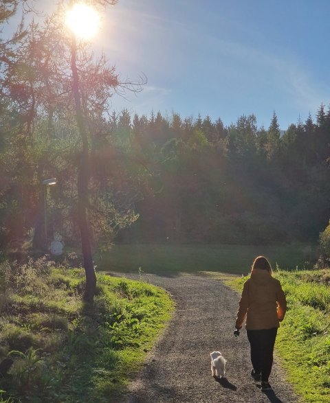 Orlof að eigin vali gildir fram til áramóta
