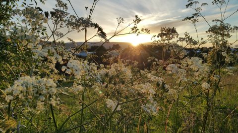 Greiðslur úr sjúkrasjóði rúmlega 266 milljónir