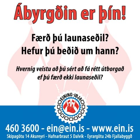 Ábyrgðin er þín!