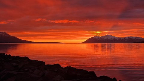 Lokum kl. 12 í dag vegna jarðarfarar