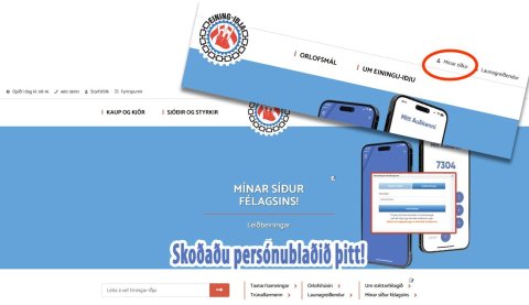 Hver félagsmaður á sitt eigið persónublað á Mínum síðum sem veitir góða yfirsýn yfir stöðu hvers fél&hellip;