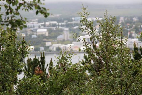 Séreign inn á lán - Ný lög samþykkt