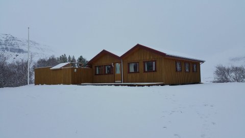 Laust í Tjarnargerði