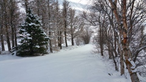 Lokum fyrr í dag, þriðjudaginn 13. desember
