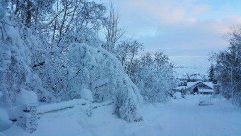 Breyttur skiladagur í desember