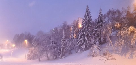 Á morgun er síðasti dagur til að skila inn gögnum