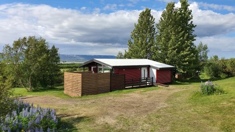 749 umsóknir um orlofskosti sumarsins