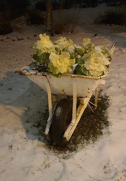 Vetrarfrí fyrir fólk í vaktavinnu