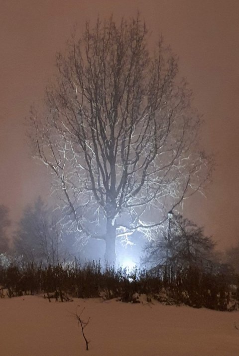 Allt að 7.000 búa í óleyfisíbúðum