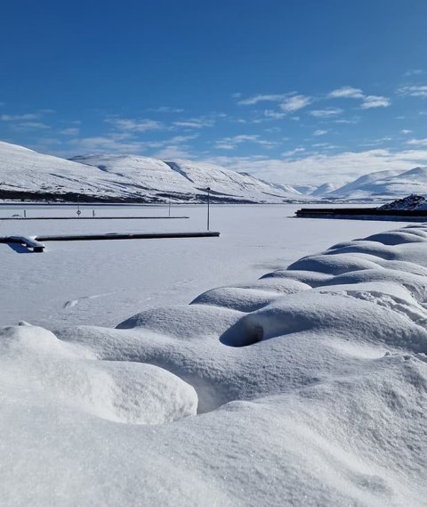 Eru félagsgjöldin ekki örugglega að skila sér?