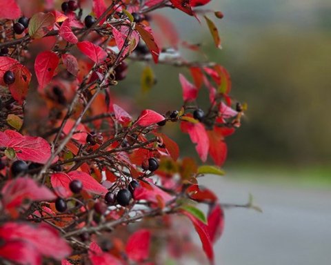 Almennt er ferðakostnaði innanlands breytt tvisvar sinnum á ári, að vori og að hausti, til þess að e…