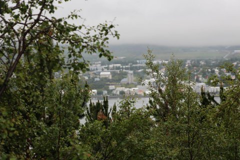 Verkefnastjóri vinnustaðaeftirlits - umsóknarfrestur rennur út í dag