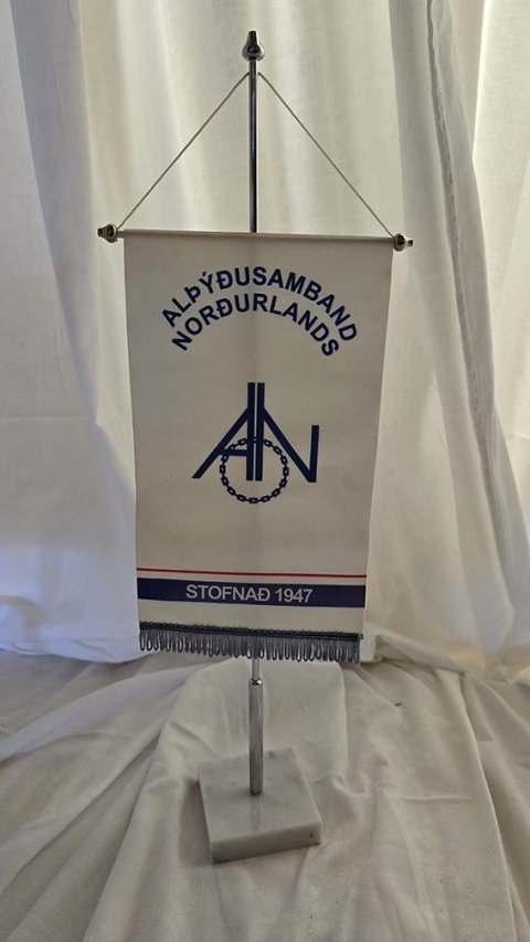 Þing AN - Ályktun um heilbrigðismál