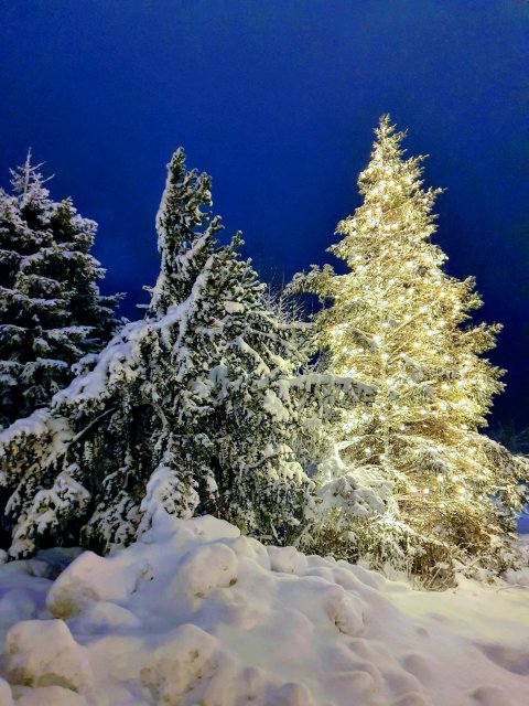 Skil á gögnum í desember