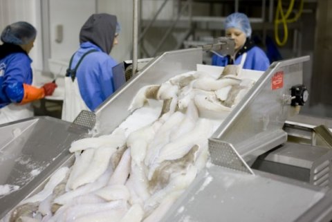 Myndin er af vef SGS