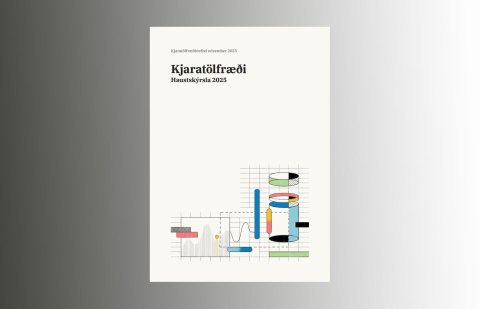 Haustskýrsla kjaratölfræðinefndar 2025