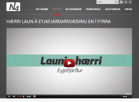 N4 - Umfjöllun um kjarakönnun félagsins
