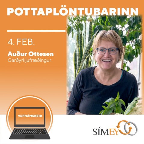 Vefnámskeiðið Pottaplöntubarinn með Auði Ottesen - Frítt fyrir félagsmenn
